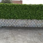 Cerramiento de parcela con muro de bloques de cemento